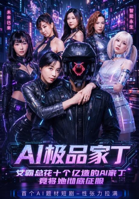 AI极品家丁 全12集